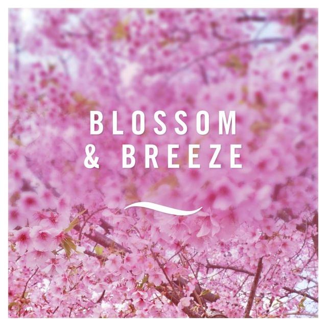 Febreze Car Clip Air Freshener, Bundle Mixed Scent: Blossom & Breeze + Unstoppables Fresh Scent