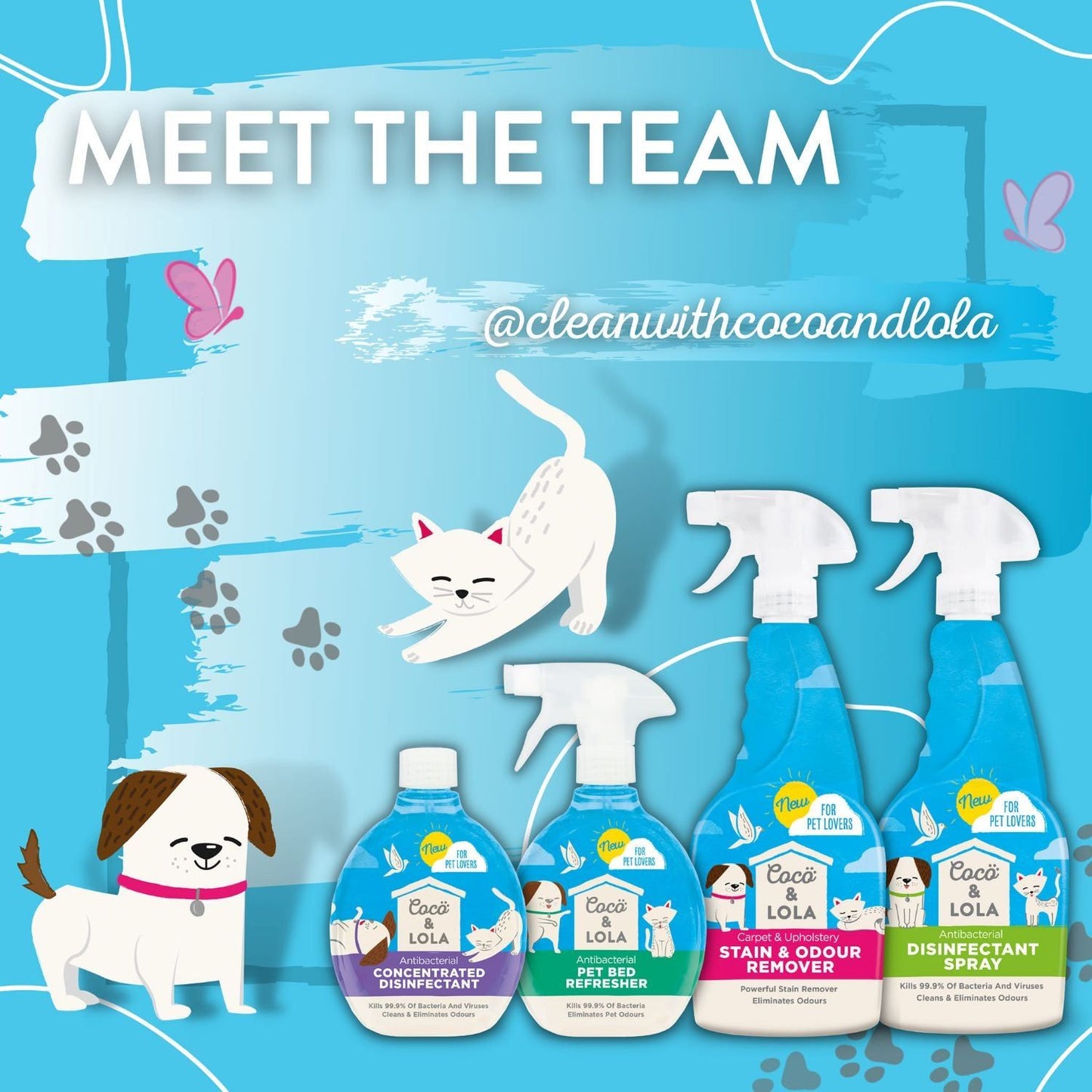 Coco & Lola for Pet Lovers, Antibacterial Concentrated Disinfectant, Cleans & Eliminates Odours, 500ml